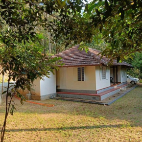 Immerse in Natures Beauty at Eden Thottam, Idukki